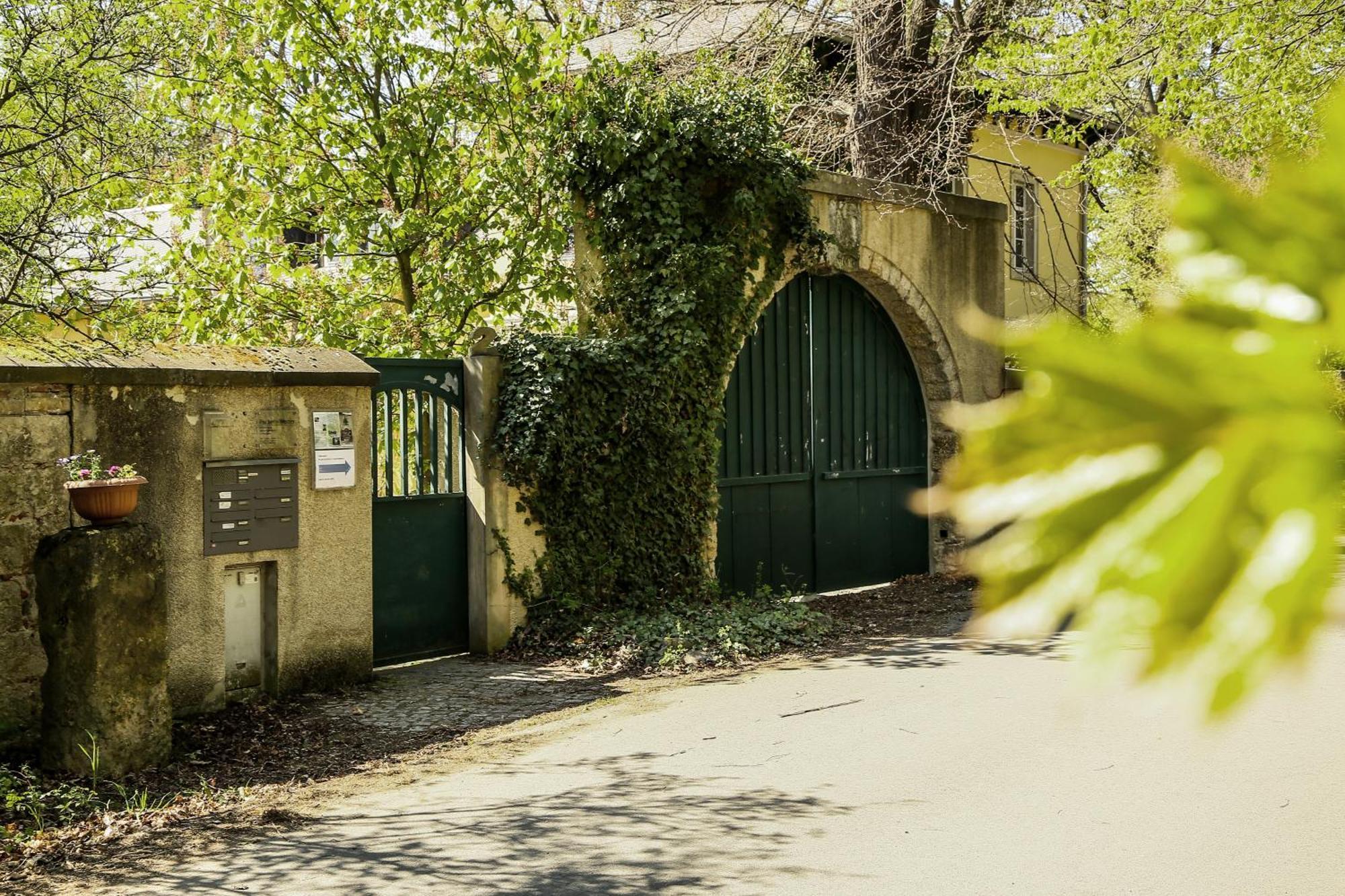 Готель Plantagengut Hosterwitz Дрезден Екстер'єр фото